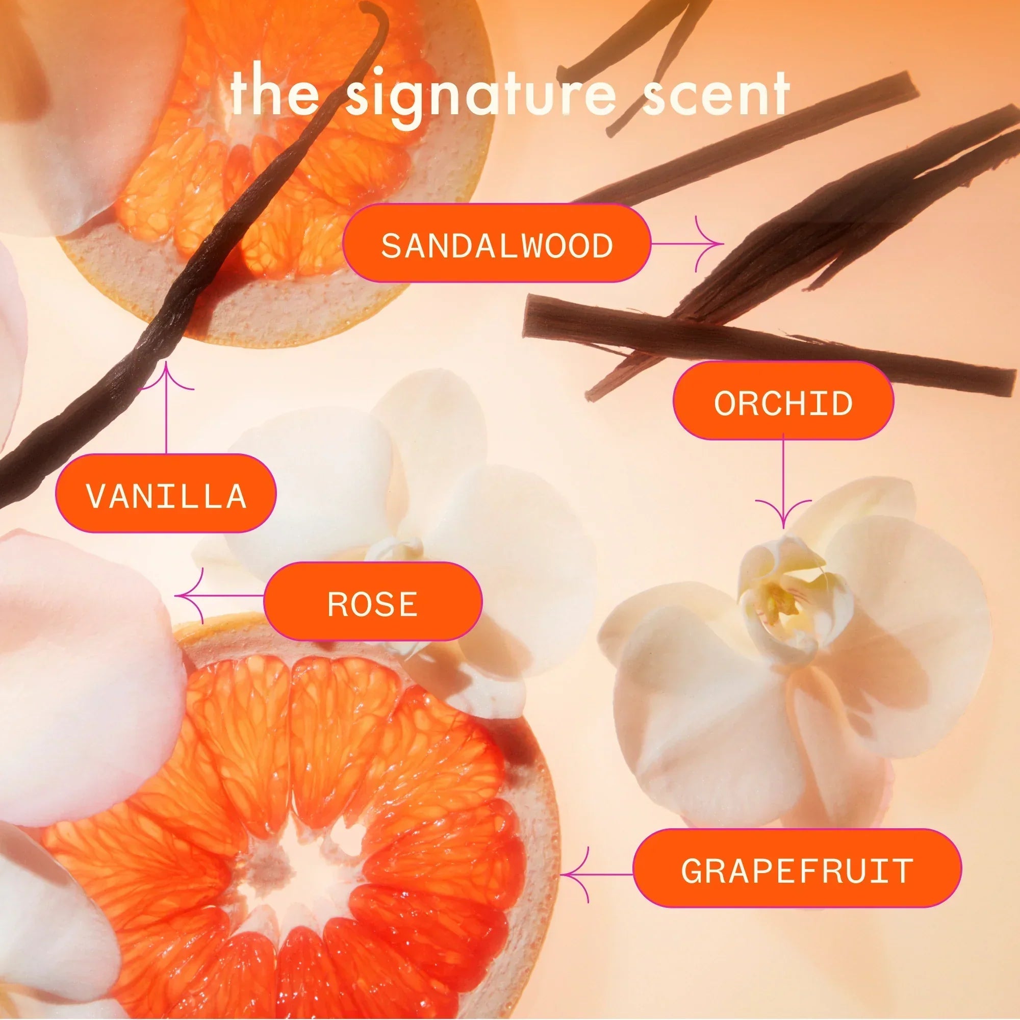 super-sized signature set normcore shampoo and conditioner + soulfood mask